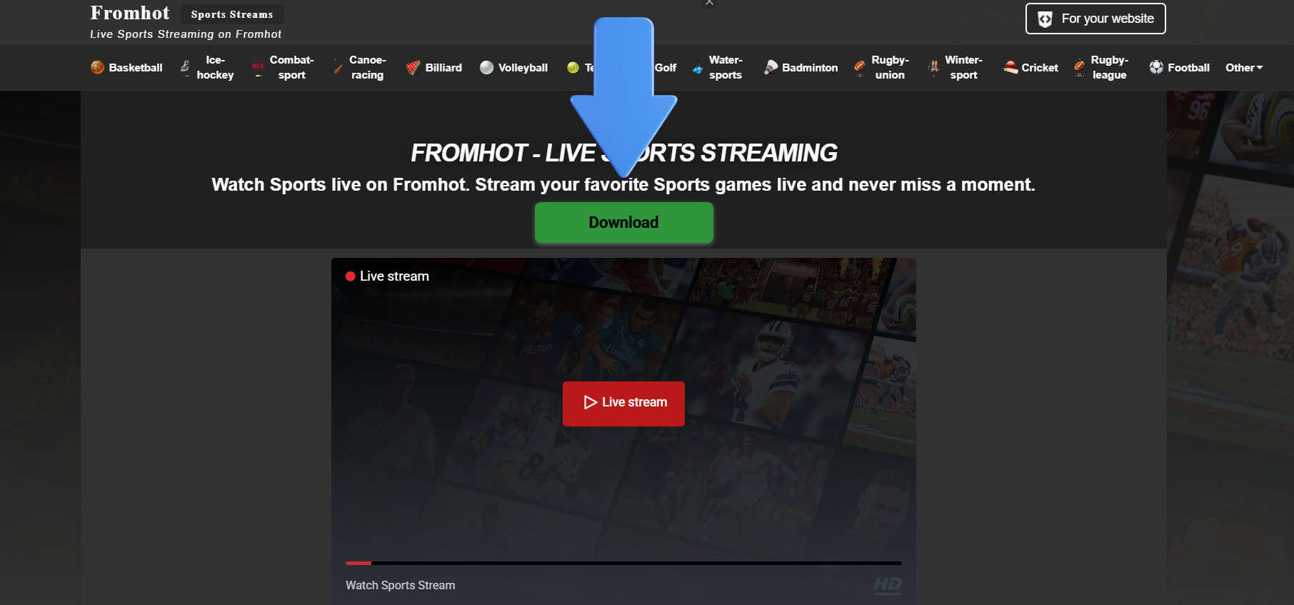 FromHot | أفضل بدائل StreamEast لبث الرياضات المباشرة