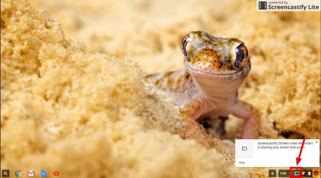 انقر على أيقونة الجهاز