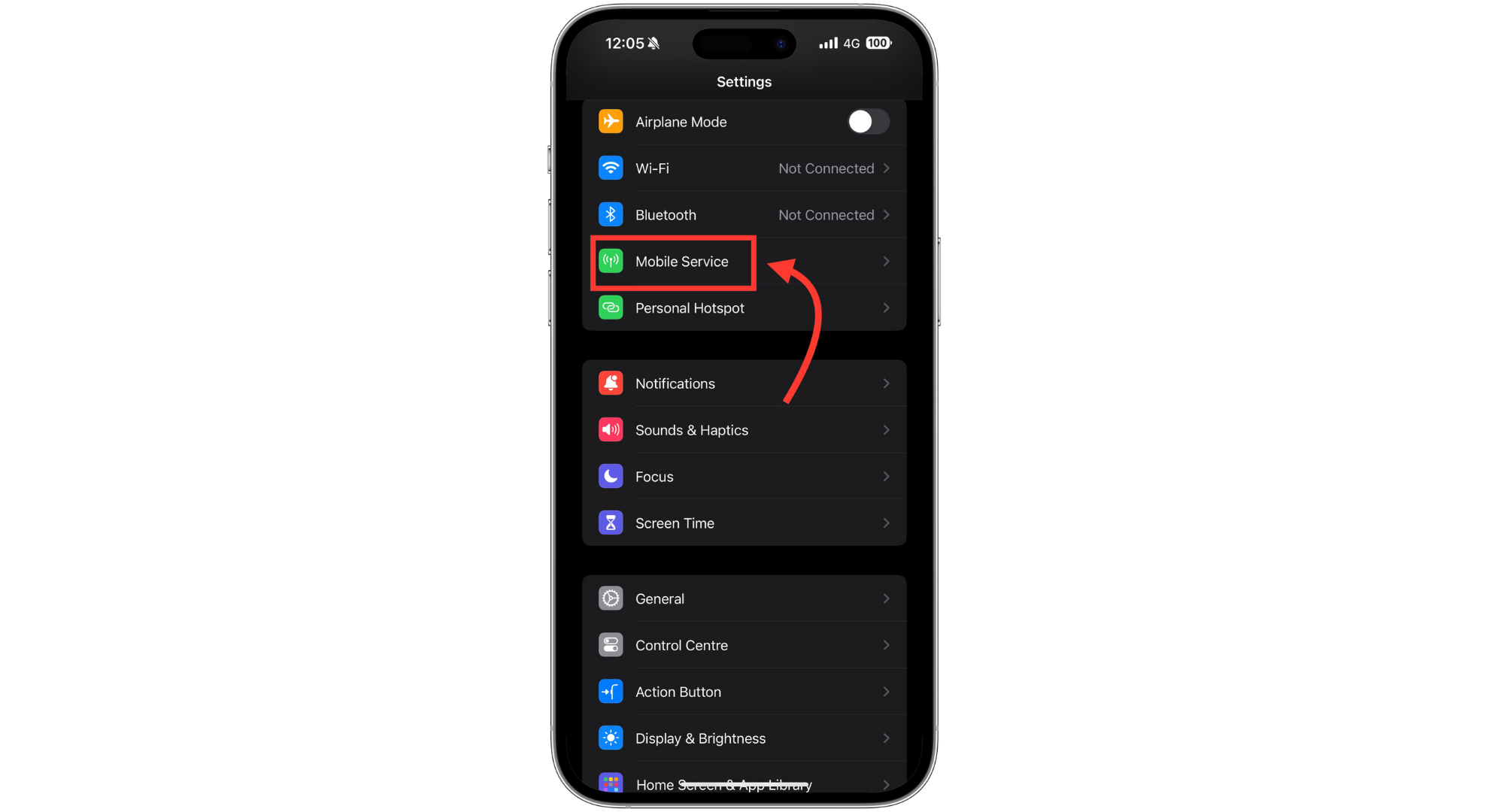 اضغط على "الخدمة الخلوية"