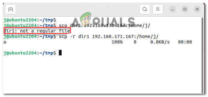 إصلاح خطأ SCP: ليس ملفًا عاديًا