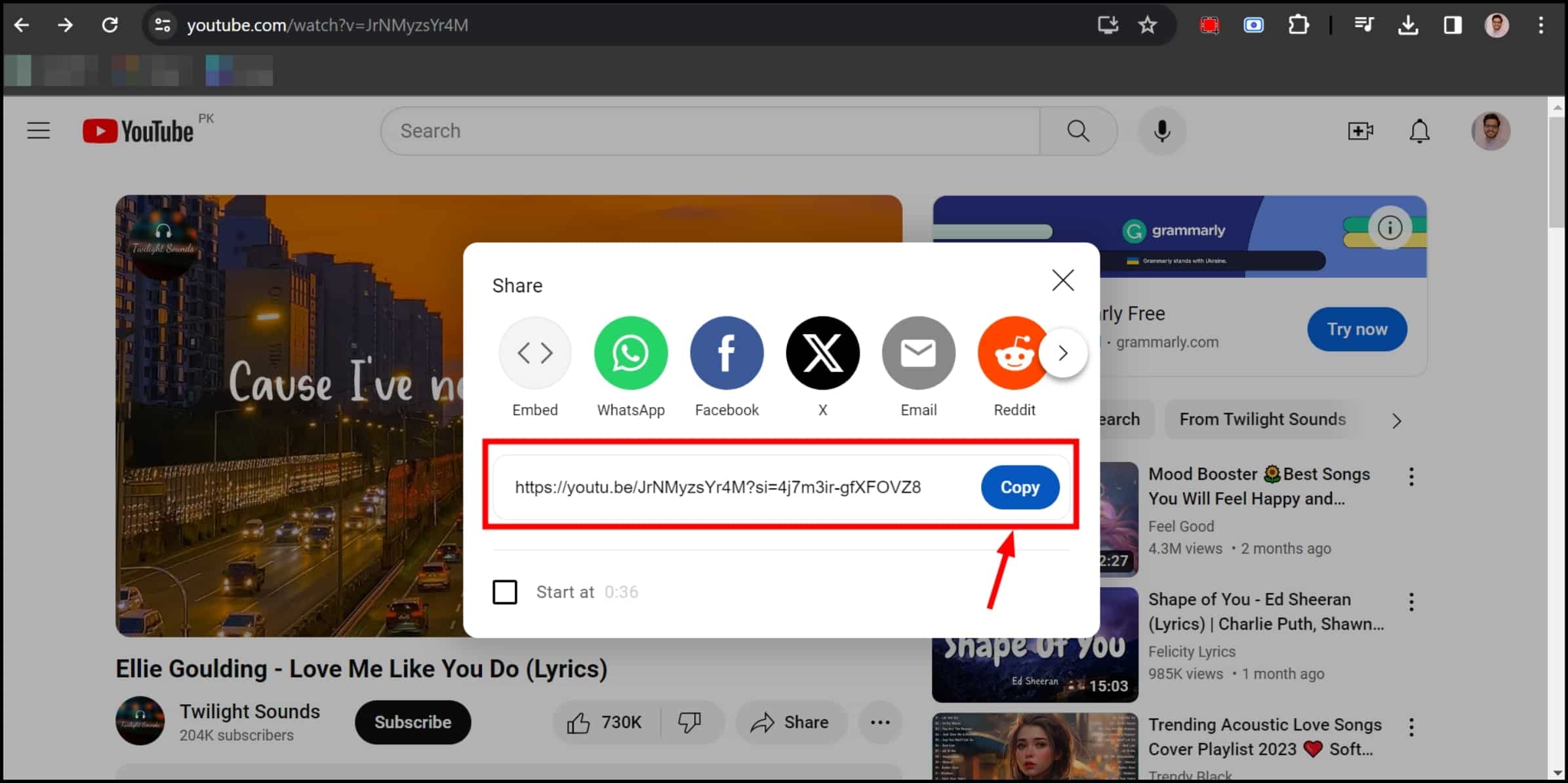 انسخ URL الخاص بالفيديو الموسيقي