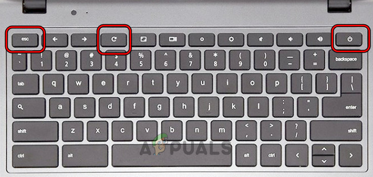 اضغط على مفاتيح Power و Refresh و ESC في Chromebook