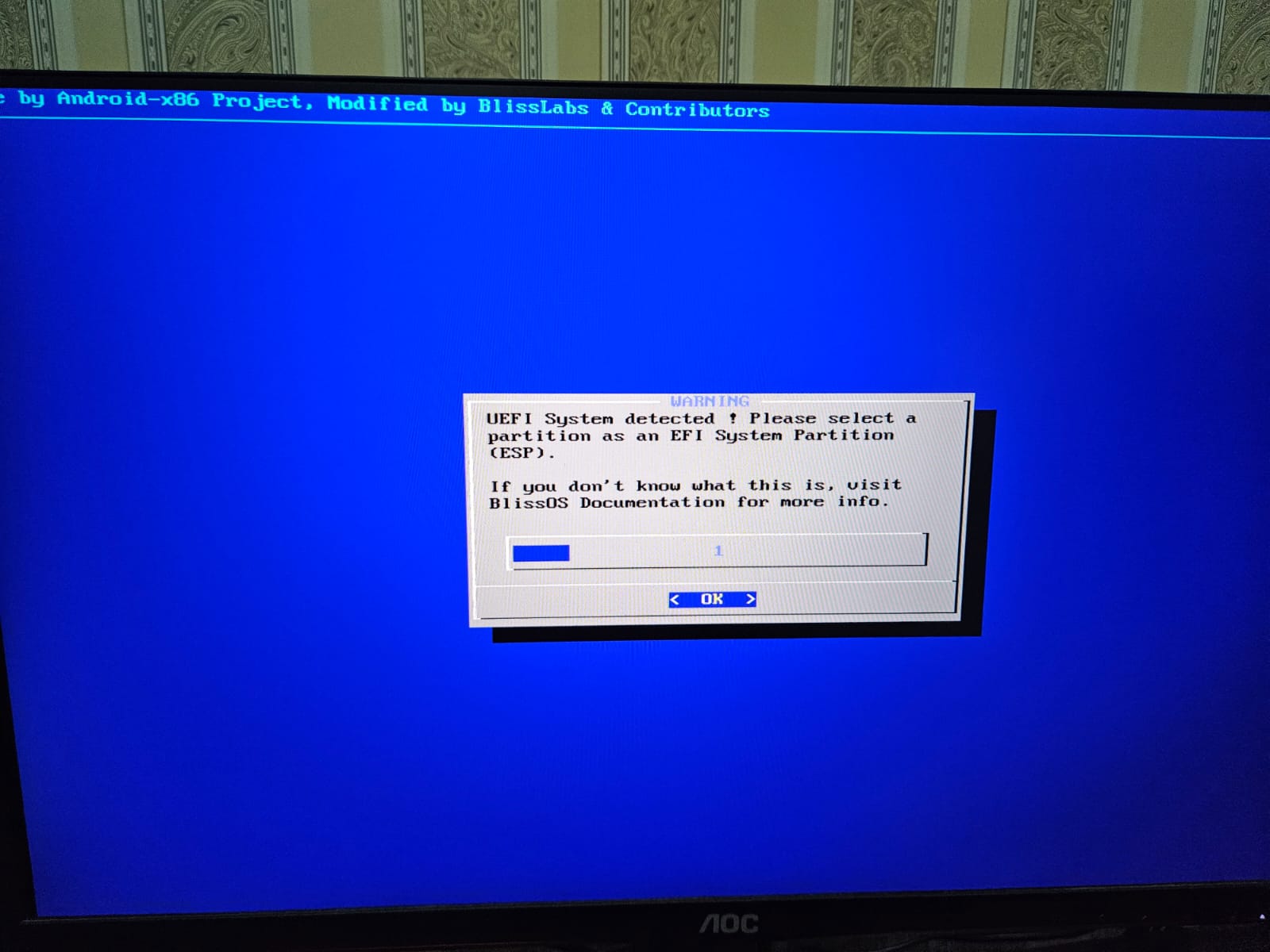 تأكيد نظام UEFI والضغط على Enter