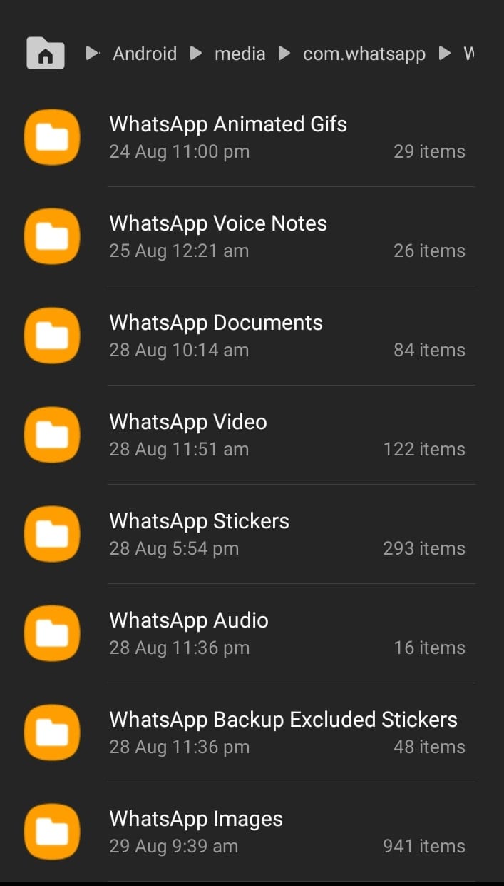 لقطة شاشة لمجلد الوسائط