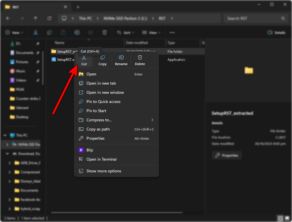 نسخ مجلد RST المستخرج إلى USB