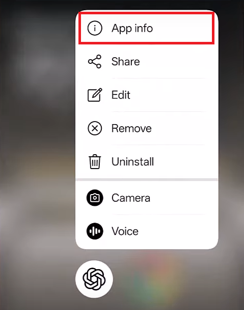 شاشة معلومات التطبيق لـ ChatGPT