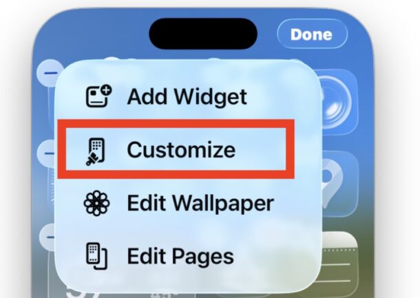 اختر تخصيص من قائمة التعديل لتعديل مظهر أيقوناتك