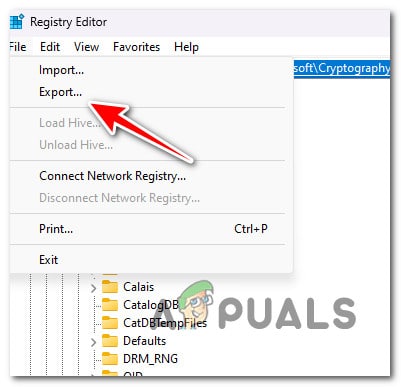 Exporting the specific branch