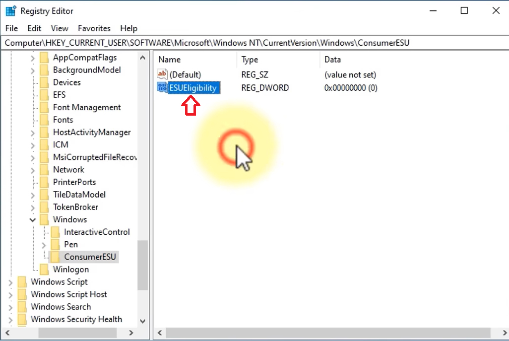 قيمة ESUEligibility
