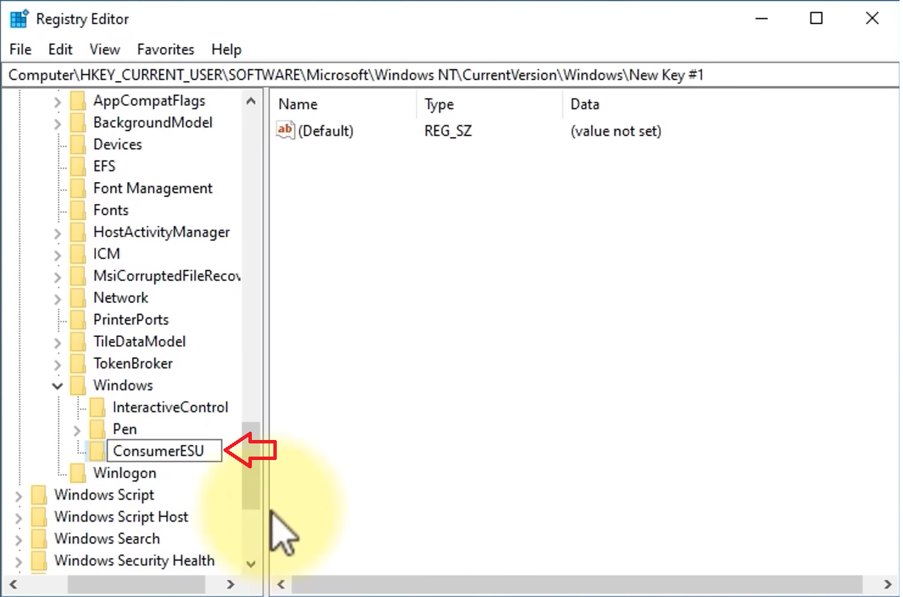 تسمية المفتاح الجديد ConsumerESU