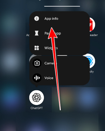 فتح معلومات تطبيق ChatGPT (شاشة بديلة)