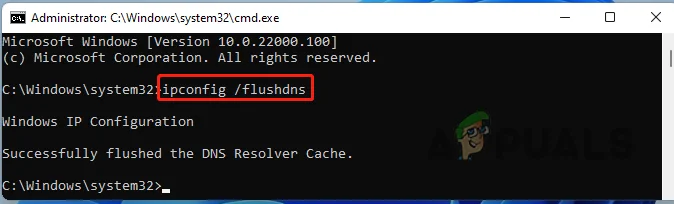 Command Prompt output after running ipconfig /flushdns successfully