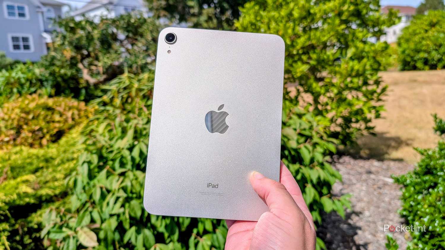 iPad mini (2021) في اليد بجانب الشجيرات.