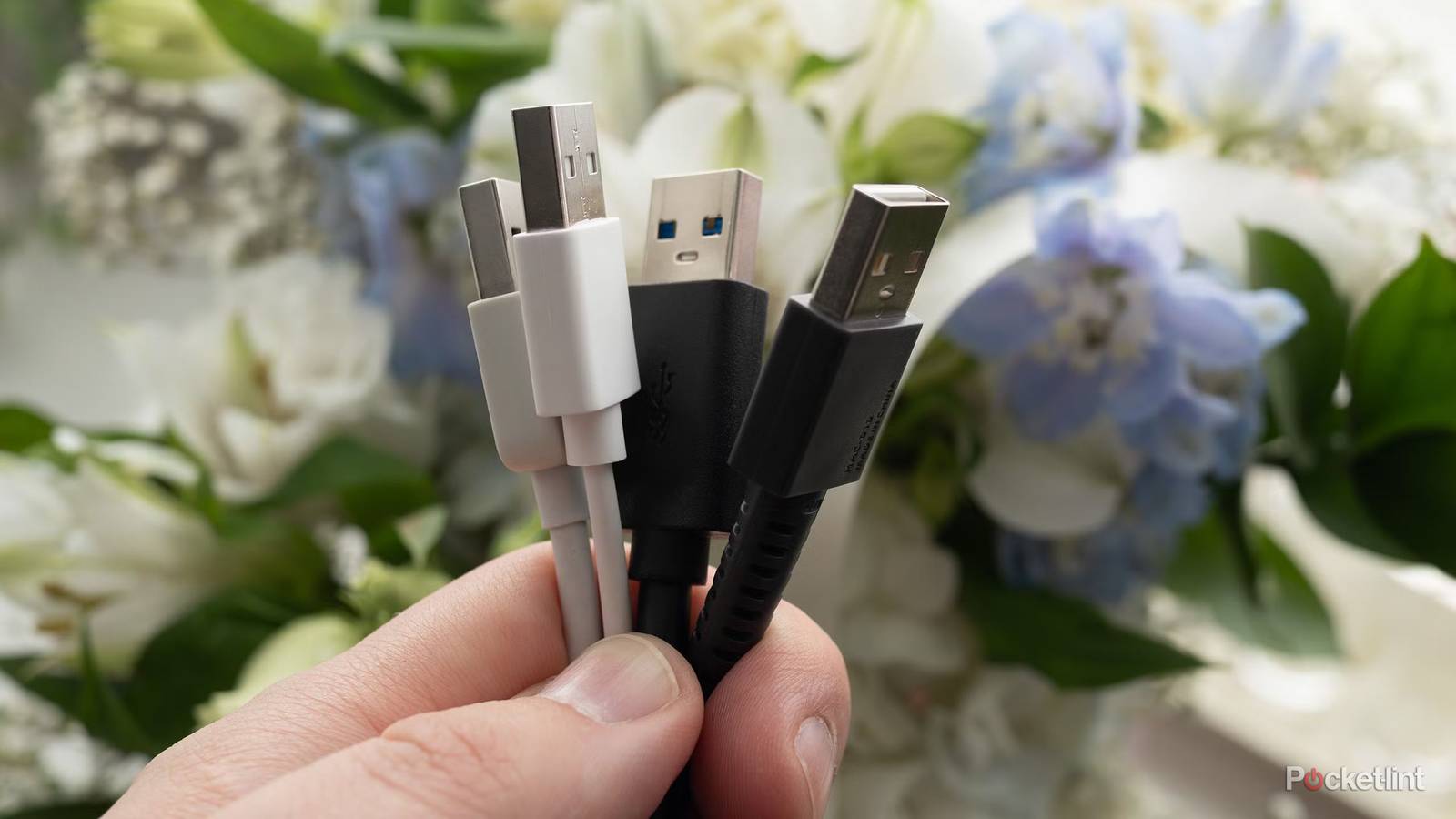 أخطأتُ بشأن منافذ USB-A واشتقت إليها الآن