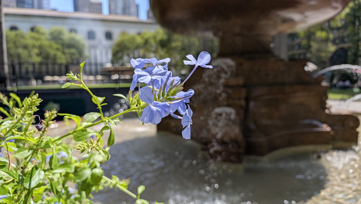 عينات صور من مراجعة Google Pixel 11 Pro Fold
