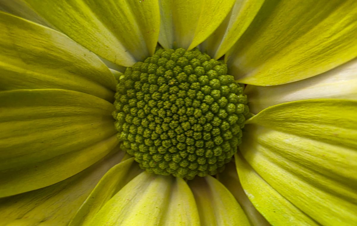 مقارنات صور Galaxy S26 Ultra