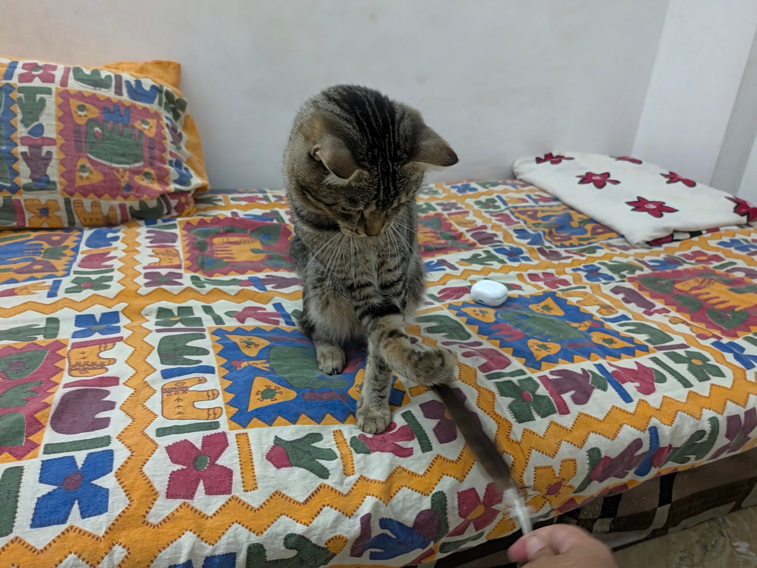 وسادة، ديكور منزلي، لحاف