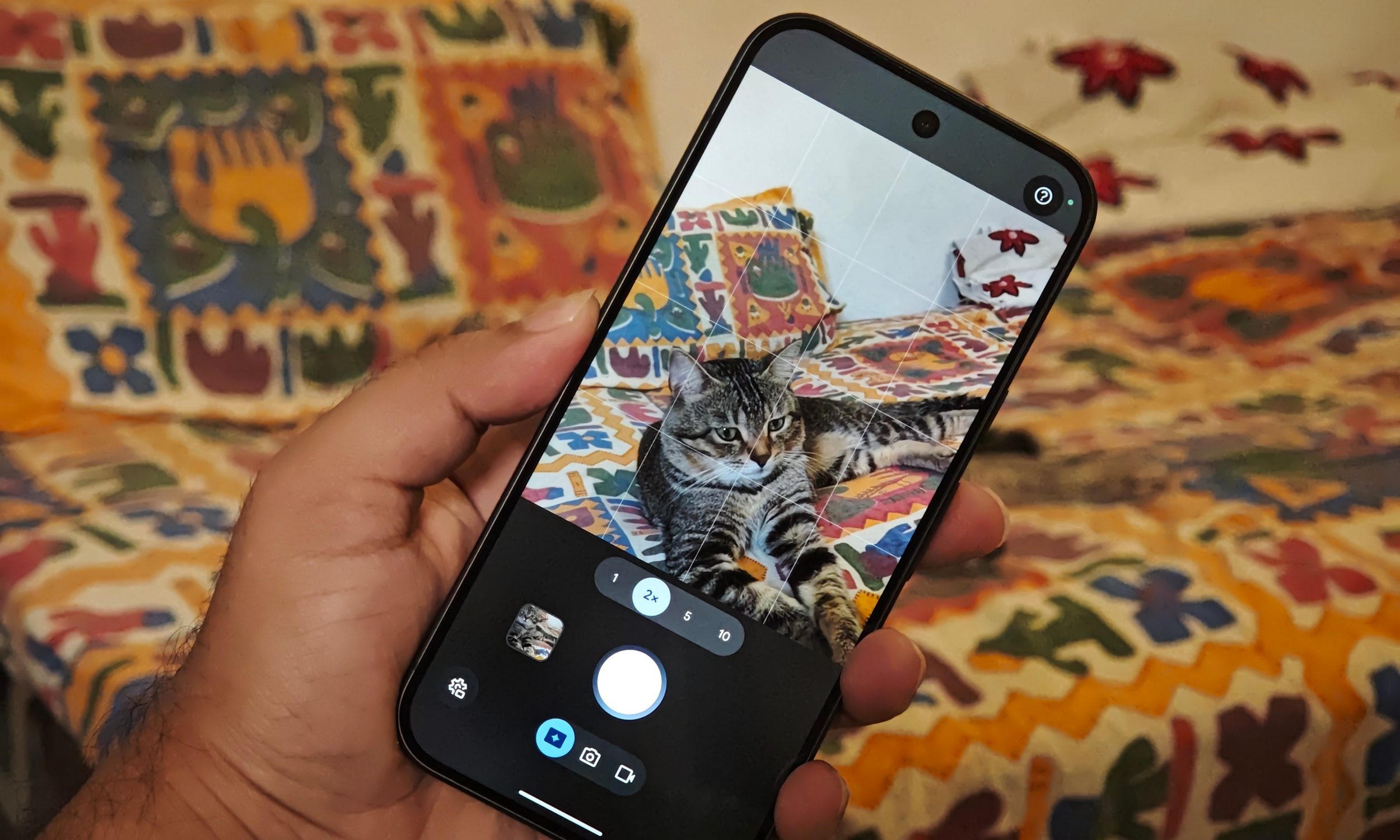 ميزة Magic Capture على هاتف Google Pixel 11 Pro مع قطة تظهر في شاشة العرض