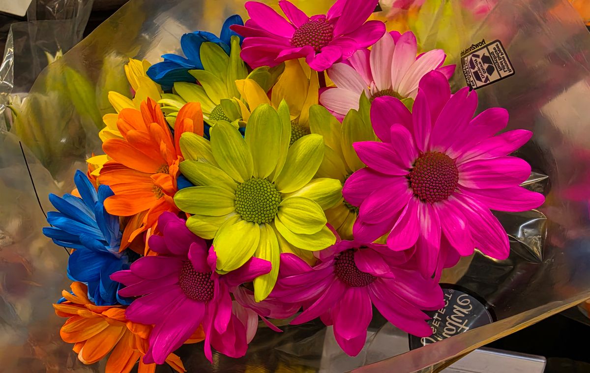 مقارنات صور Galaxy S26 Ultra