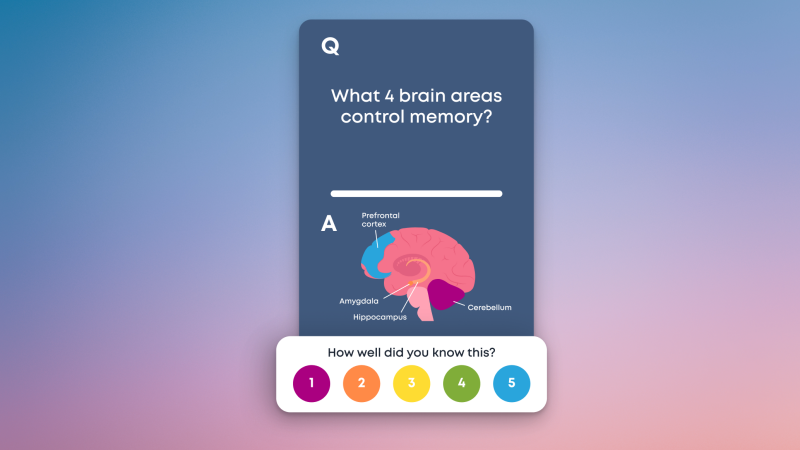بطاقة تعليمية في Brainscape.