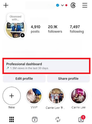 ملف Instagram الشخصي يظهر مدخل لوحة التحكم الاحترافية بعد التبديل إلى حساب احترافي عام.