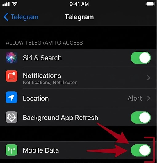 إعدادات البيانات الخلوية على iPhone تُظهر تمكين Telegram لبيانات الجوال.