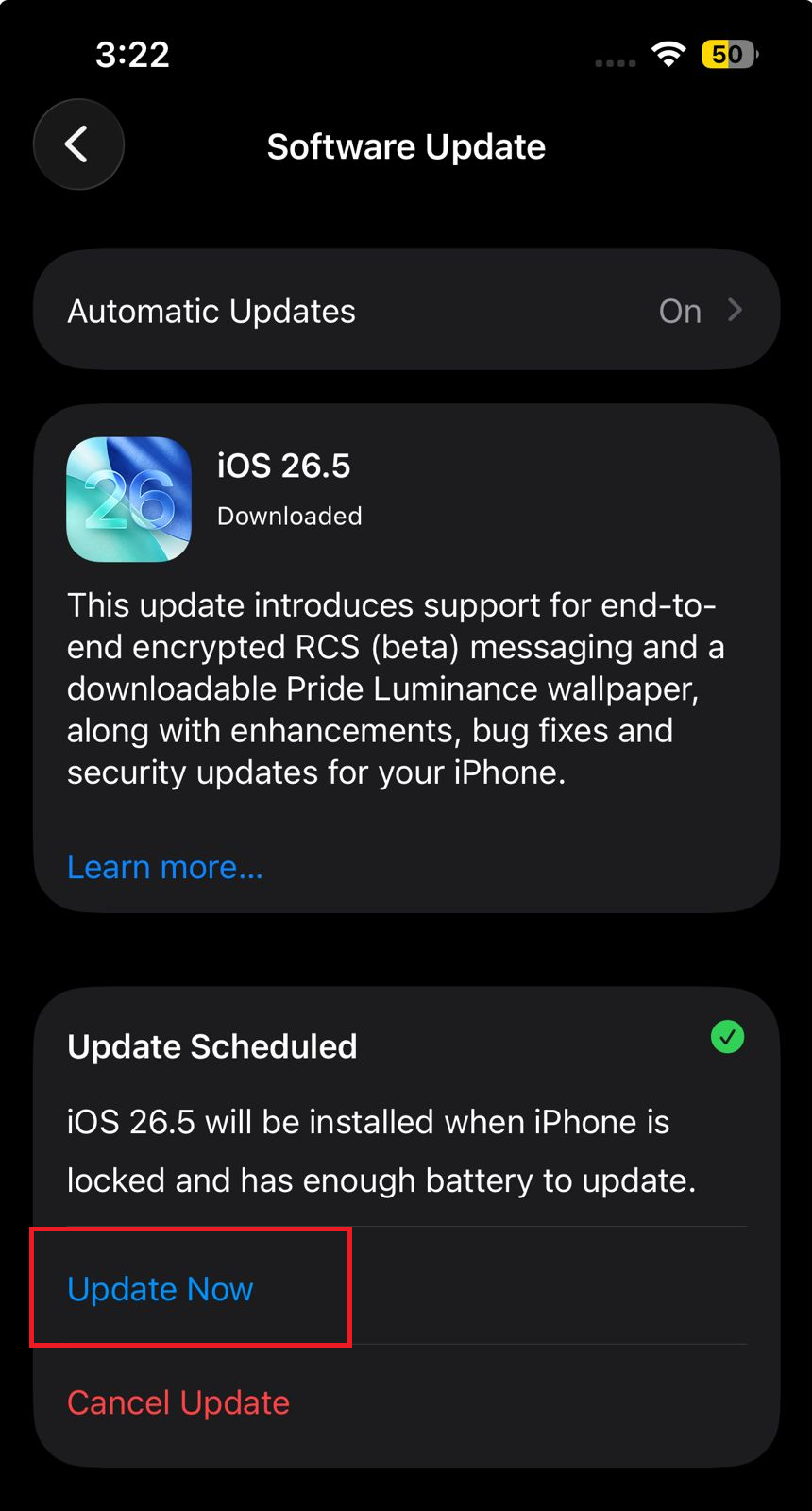 شاشة تحديث برامج iPhone مفتوحة أثناء التحقق من سبب عدم ظهور Clean Up في تطبيق الصور (Photos).