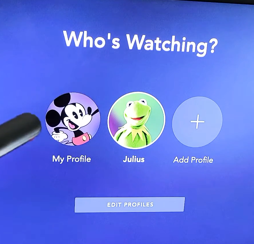 اختبار Disney+ على جهاز آخر وملف شخصي آخر لتحديد مشكلة خاصة بالتلفاز.