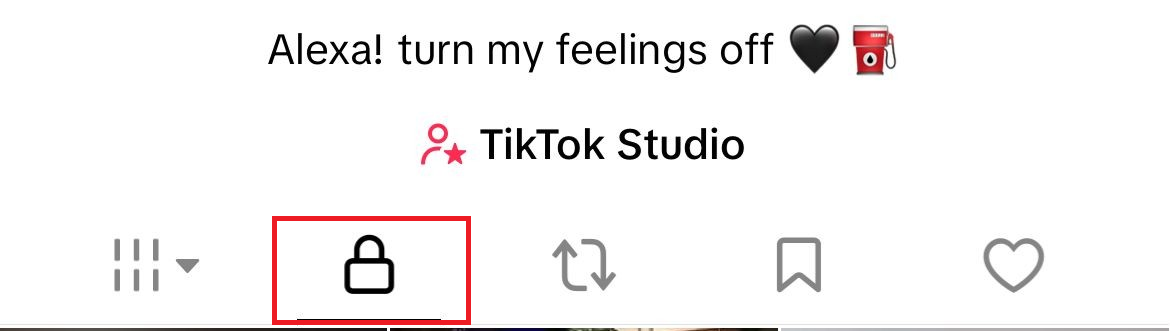 ملف TikTok الشخصي يتحقق من مقاطع الفيديو الخاصة أو Only you التي قد تحتوي على مسودة سابقة.