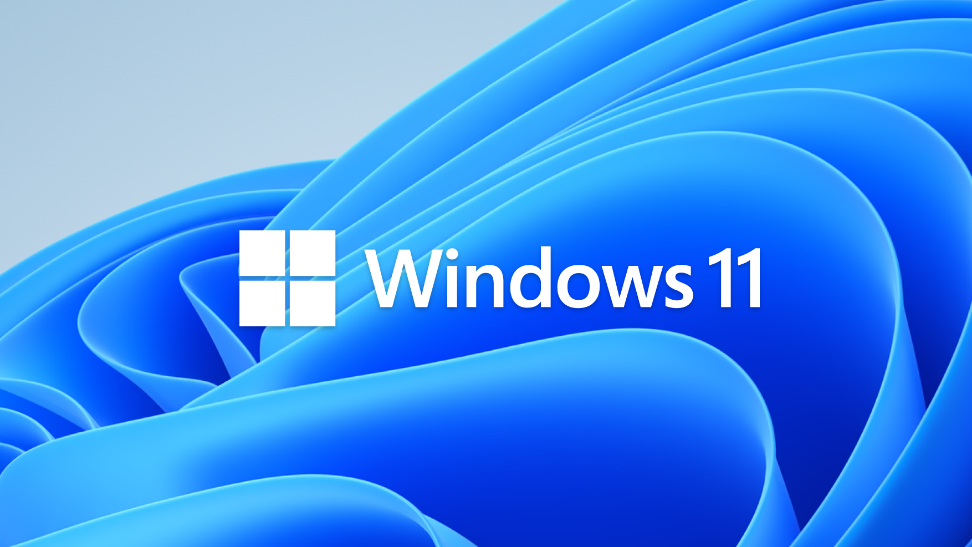اختفاء خيار الواي فاي في Windows 11: الأسباب والحلول