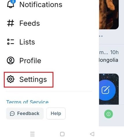 لقطة شاشة لإعدادات Bluesky