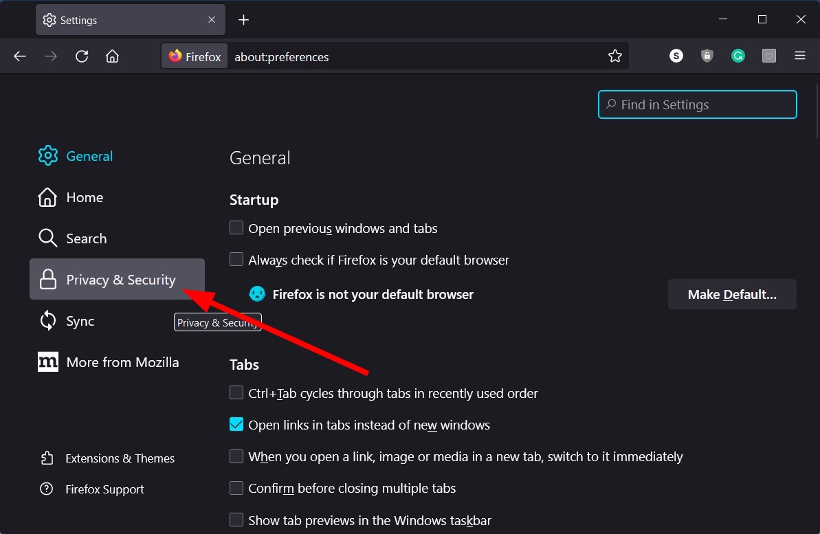 صورة توضح خيار Privacy & Security في Firefox