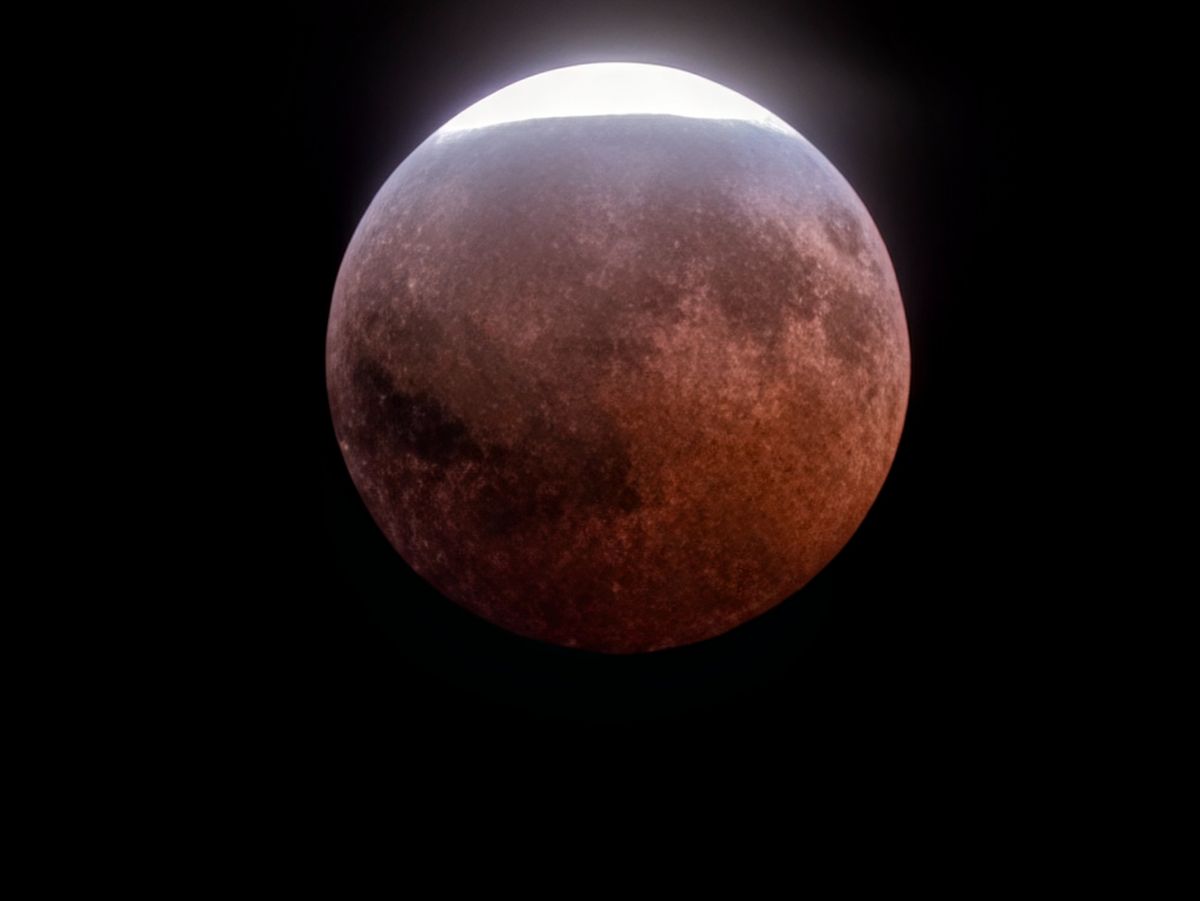 عينات صور كاميرا Google Pixel 11 Pro XL