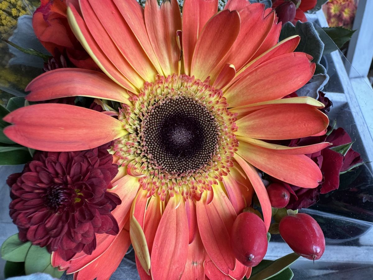 عينة صور من كاميرا Apple iPhone 15 Pro Max.