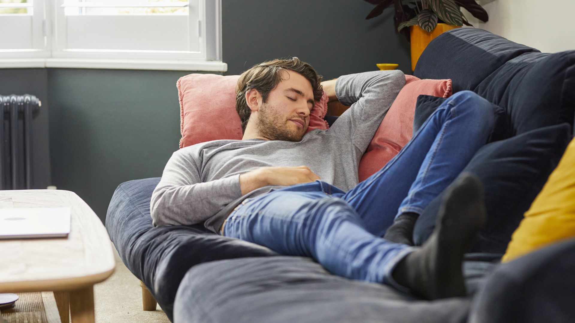 The image shows a man wearing blue jeans and a gray jumper napping on a sofa during the day