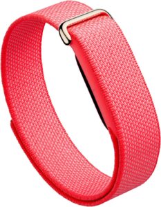 Fitbit Air