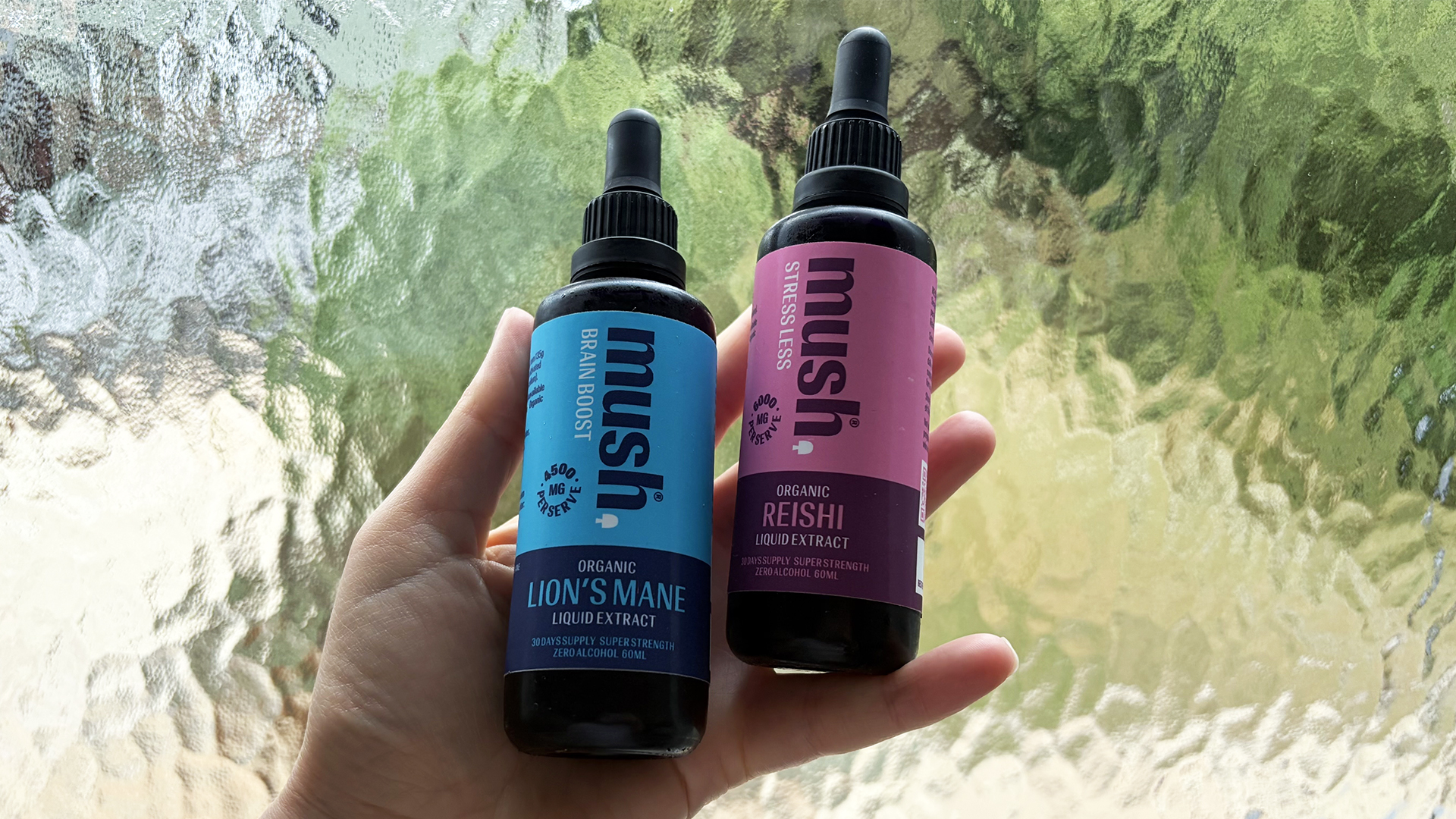 Una mano sosteniendo una botella de extracto Lovemush Lion's Mane Brain Boost y extracto Reishi Stressless.