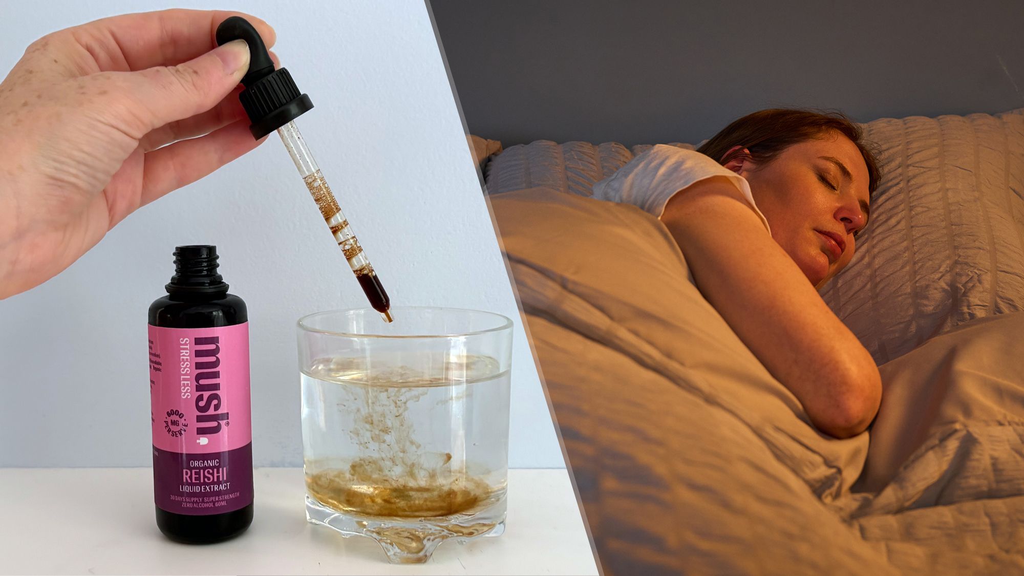 Hongos adaptativos como alternativa para no despertarme a las 3 de la mañana: ¿Realmente solucionarán mis problemas de sueño?