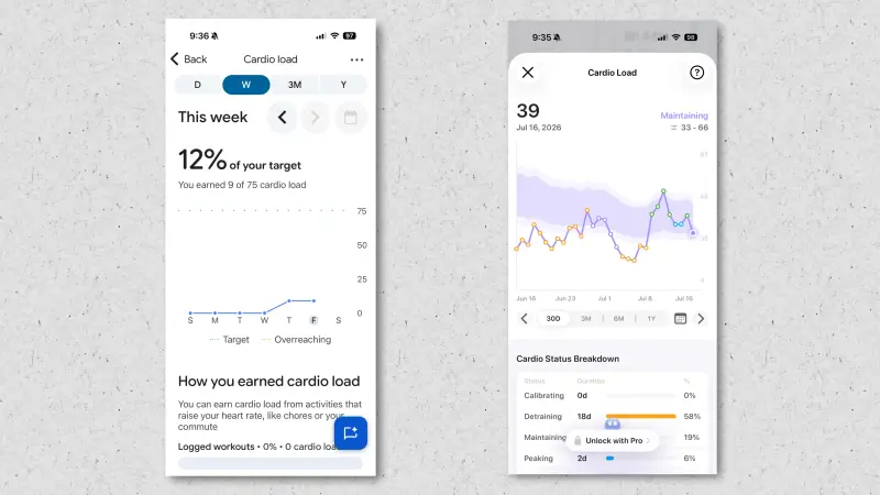 حمل القلب والأوعية الدموية كما أبلغ عنه Google Health (يسار) و Bevel (يمين)