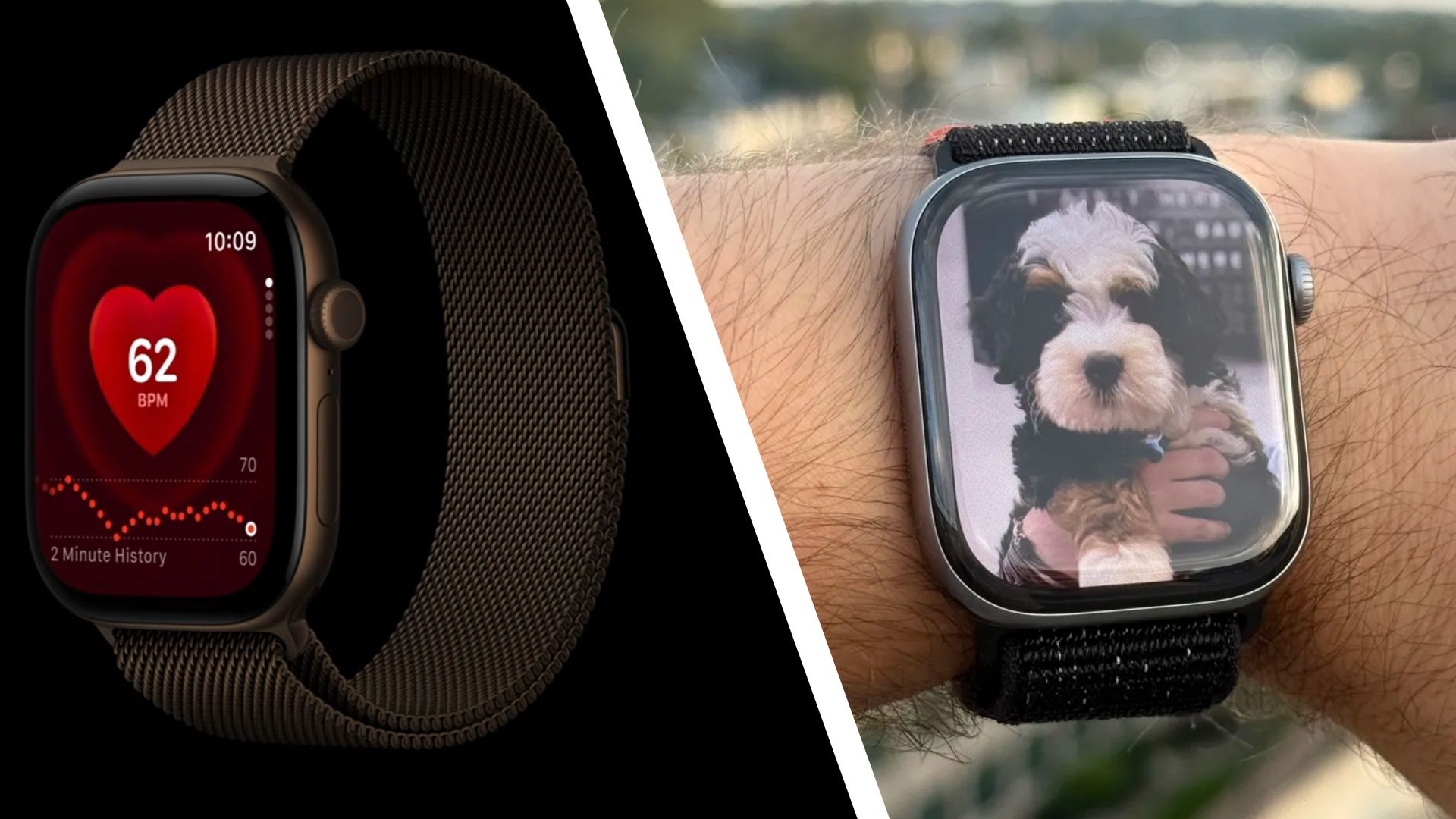 Apple Watch Series 12 與 Series 11:價格、功能、語音智慧和主要變化分析